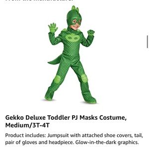 PJ Mask Gecko Costume